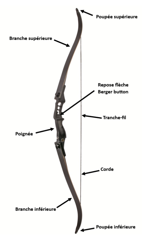 Les différents types d'arcs - Les Archers Drouais